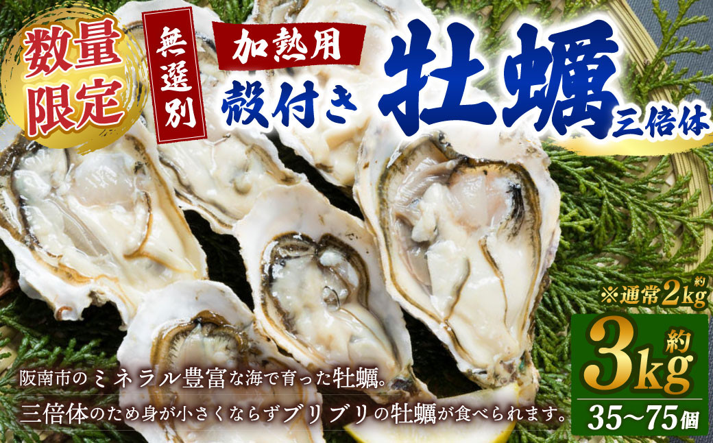 
            【数量限定】【無選別】加熱用 殻付き牡蠣  約3kg　（35～75）　三倍体 ※通常：約2kg（24～50個） 三倍体／牡蠣 かき カキ 生ガキ 生牡蠣 加熱用 調理用【7月以降発送開始】
          