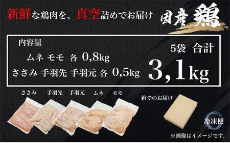 UF10 国産ブランド 匠美鶏 国産 ５種食べ尽くしセット 計３.１kg ムネ正肉 モモ正肉 ささみ 手羽先 手羽元 鶏肉  冷凍  タンパク質  唐揚げ チキンソテー 煮物 チキン南蛮