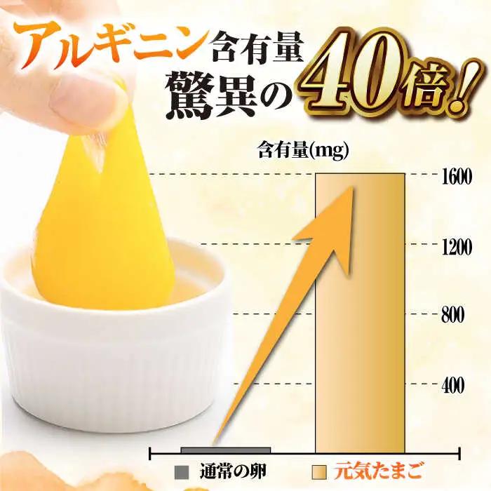 【全12回定期便】アルギニン元気たまご20個【浅田峠自然塾】[EA04] 卵 定期便 卵 平飼い卵 たまご