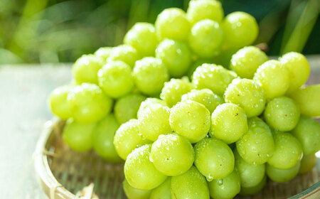 日田市産シャインマスカット2㎏(3～5房) ぶどう[ARFD007]