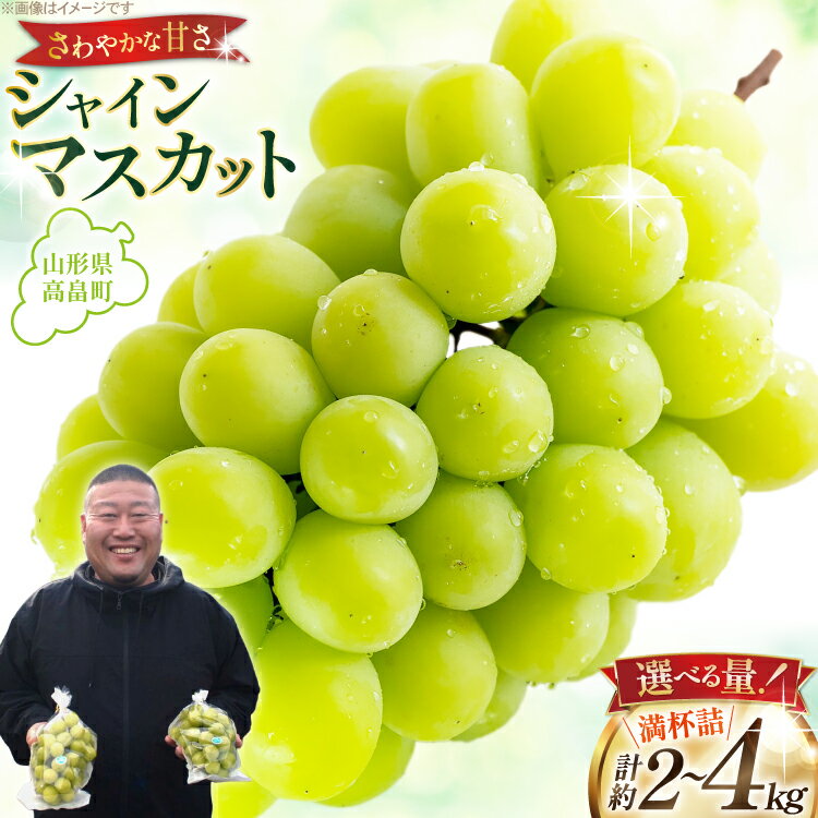 【ふるさと納税】【期間限定発送】 シャインマスカット 【選べる内容量】 3～4房 満杯詰め 約 2kg / 6～8房 満杯詰め 約 4kg [本田農園 山形県 高畠町 tk06ays820006] ぶどう ブドウ 葡萄 マスカット 大粒 粒 つぶ ツブ 種なし 果物 くだもの フルーツ 2キロ 4キロ 箱入り