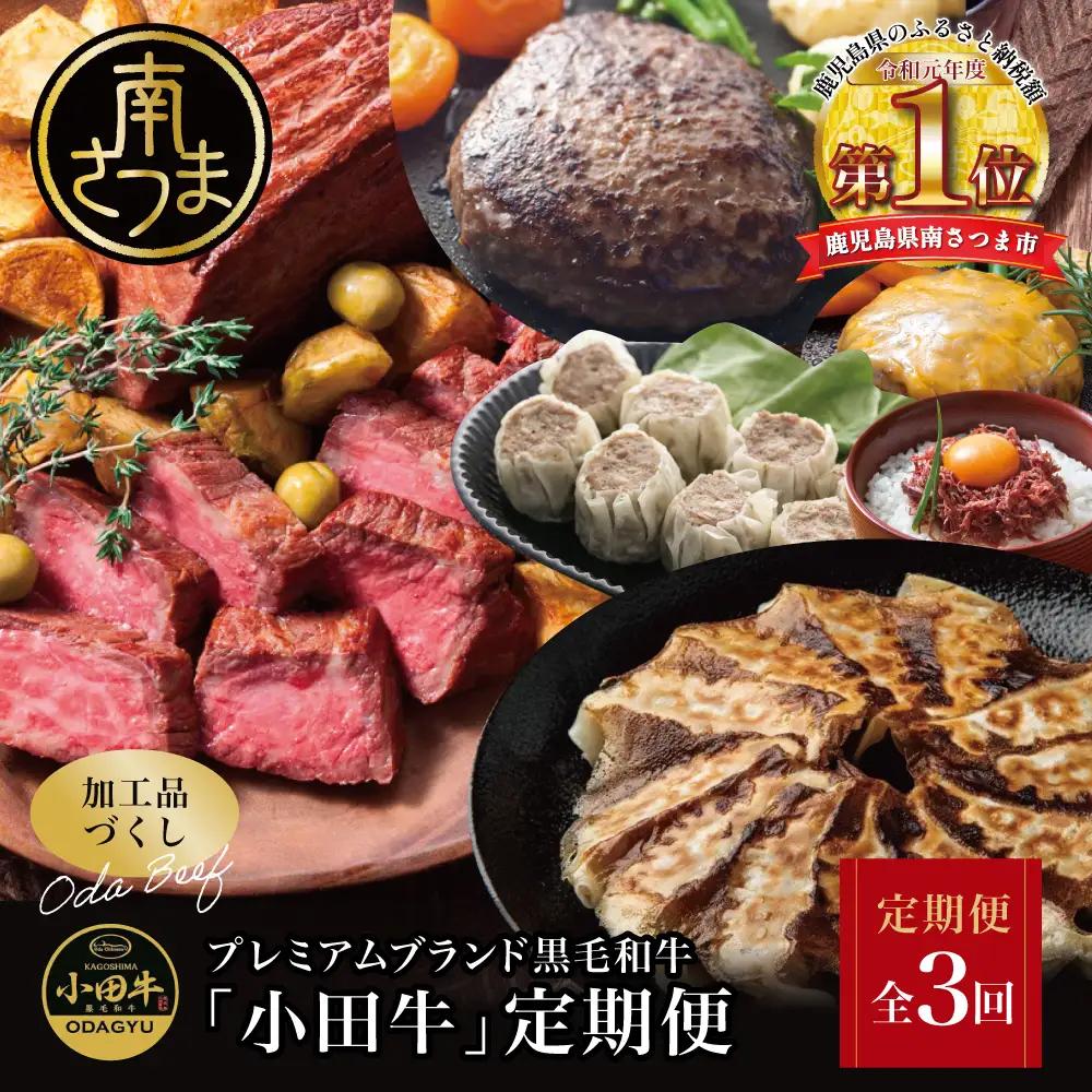 【全3回】プレミアムブランド「小田牛」定期便［加工品づくし］　鹿児島県産黒毛和牛 ハンバーグ コンビーフ ローストビーフ 餃子 焼売 総菜 おかず レトルト 冷凍 小田畜産 南さつま市