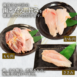 【手捌き】京田舎どり中ヒネ 1kg 国産 鶏肉 親鳥