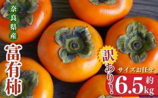 訳あり 富有柿 サイズバラバラ 約 6.5kg   | フルーツ 果物 くだもの 柿 カキ かき 奈良県 五條市 ※ 2025年 11月 中旬頃から 順次発送 デザート 人気 国産 産地直送 果実  秋 旬 味覚 グルメ お取り寄せ 送料無料 大容量 農家直送  美容 健康 特産品 甘い 多汁 甘柿 マルセグループ株式会社 柔らかい こだわり わけあり 訳アリ