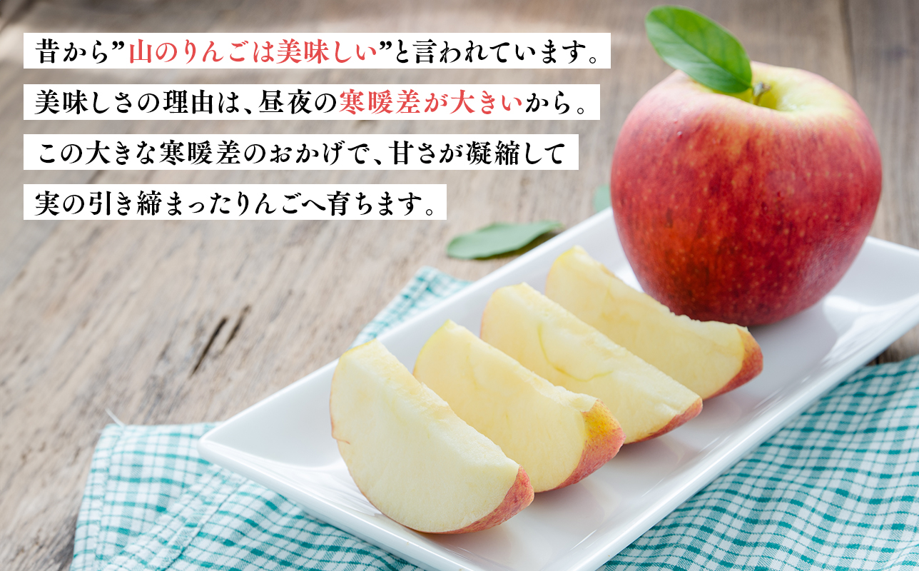 12月 100年の歴史 訳あり 家庭用サンふじ 約3kg【田中農園・青森県平川市産・青森りんご】