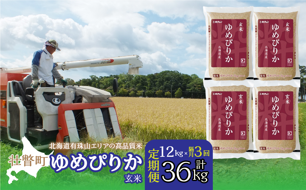 【令和6年産 隔月3回定期配送】（玄米12kg）ホクレンゆめぴりか（3kg×4袋） SBTD077