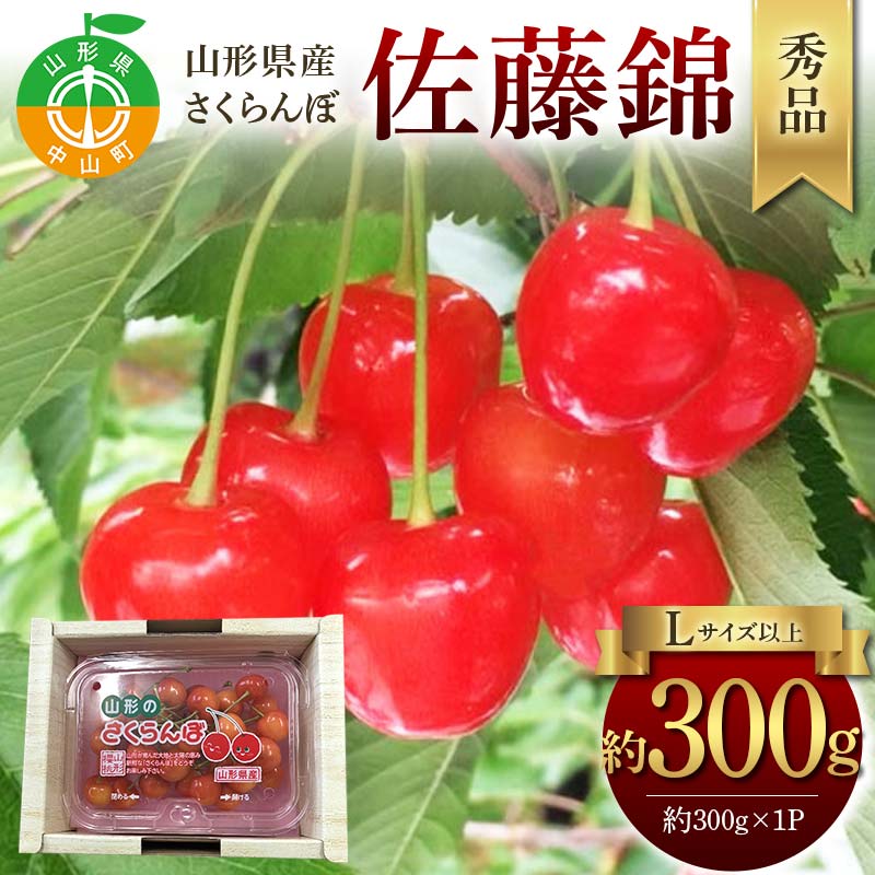 【ふるさと納税】令和8年産【先行受付】山形県産さくらんぼ＜佐藤錦＞秀品 約300g×1P Lサイズ以上 期間限定 数量限定 山形県産 サクランボ フルーツ 果物 くだもの 贈答 F4A-0964