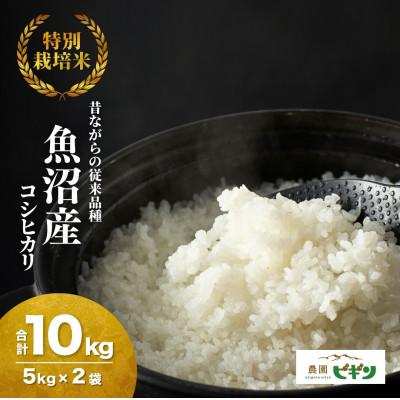 ふるさと納税 小千谷市 【先行予約 10月下旬頃発送】 令和8年産米 昔ながらの魚沼産コシヒカリ 精米 10kg 農園ビギン