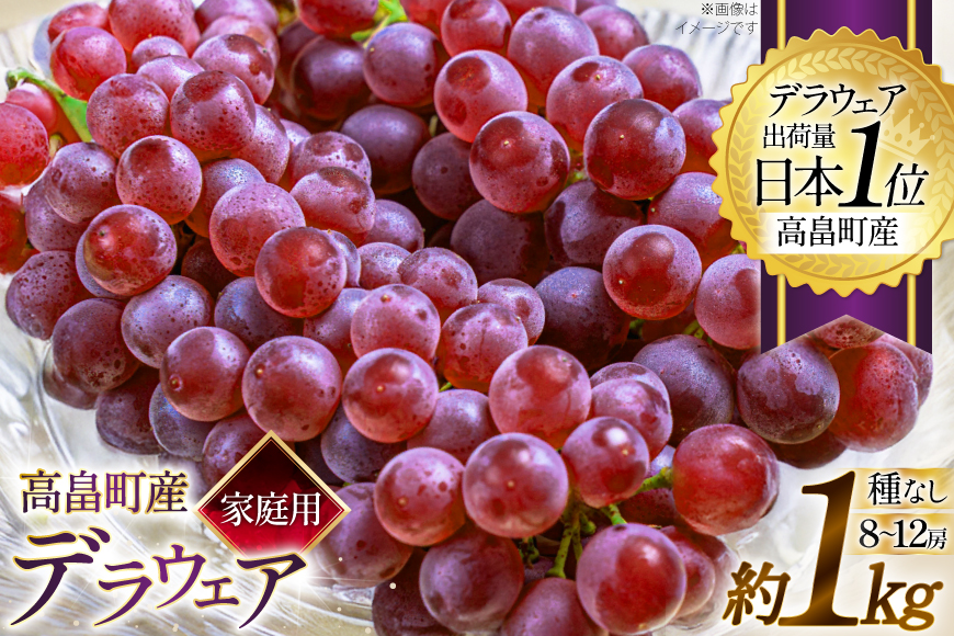 【期間限定発送】 家庭用 訳あり デラウェア 8〜12房 約1kg [いわた果樹園 山形県 高畠町 tk06ayt400006] ぶどう 種無し ブドウ 葡萄 くだもの 果物 フルーツ 産地直送 農家直送 期間限定