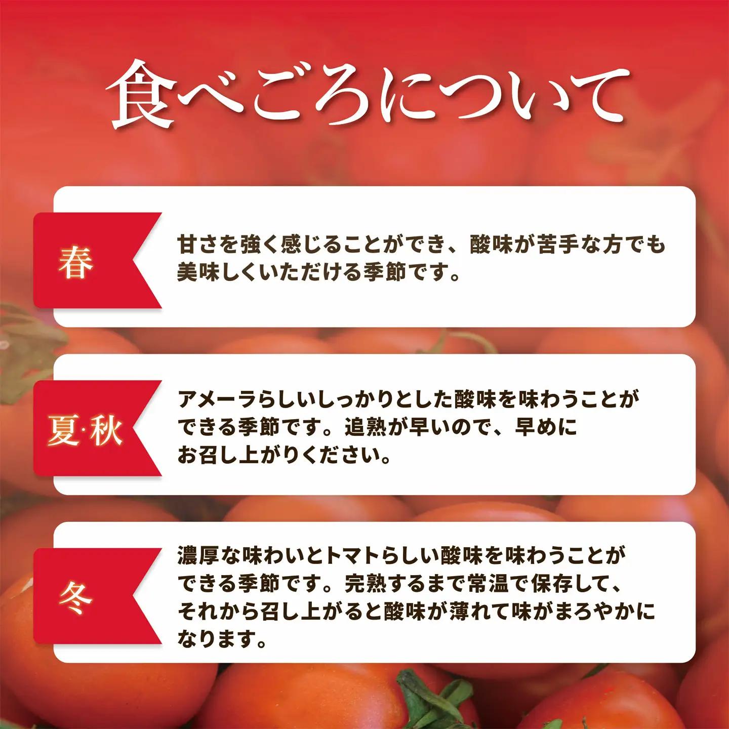 ミニトマト アメーラルビンズ 約60g×5P トマト