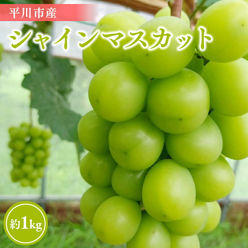 【ふるさと納税】 青森県 平川市産 シャインマスカット 約1kg ( 2～3房 )【 青森県 平川市 今井農園 】青森県産 産地直送 マスカット ぶどう ブドウ 葡萄 白ぶどう 白ブドウ 白葡萄 フルーツ 果物 くだもの お取り寄せ グルメ レビューキャンペーン