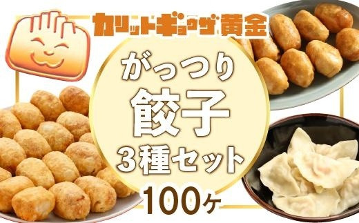 
カリットギョウザがっつりセット３種（100ケ）餃子 水餃子 スマイル餃子
