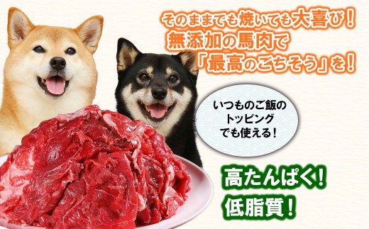 【定期便2回】ペットフード 馬肉 《2kg×2回》犬 おやつ 馬肉 赤身 切り落とし ドッグフード 無添加 高たんぱく 低カロリー ご褒美 ヘルシー 大容量 冷凍 熊本県 水上村