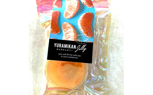 旬の2個入りゼリー21袋 みかんの美味しさぎゅっと詰めました【fmlb070】