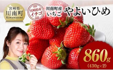川南町産いちご「やよいひめ」860ｇ（430ｇ×2） 【 期間限定 果物 イチゴ 苺 やよいひめ フルーツ 】
