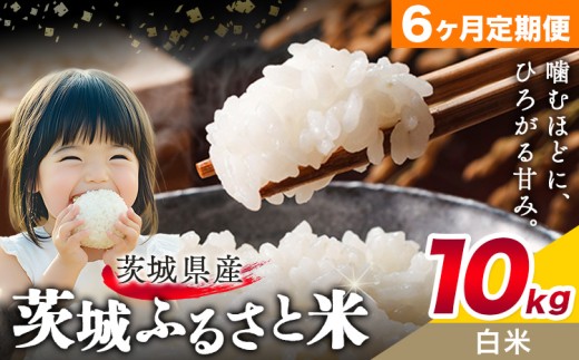 米 茨城 ふるさと米 白米 10kg 5kg×2袋 6ヶ月定期便 6回お届け 定期便《申込月の翌月より出荷》茨城県 結城市 米 国産 お米 おこめ お弁当 おにぎり