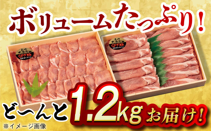 肉 豚 ぶた ブタ ロース しょうが焼き 生姜焼き しゃぶしゃぶ 小分け 長崎 九州 定期便