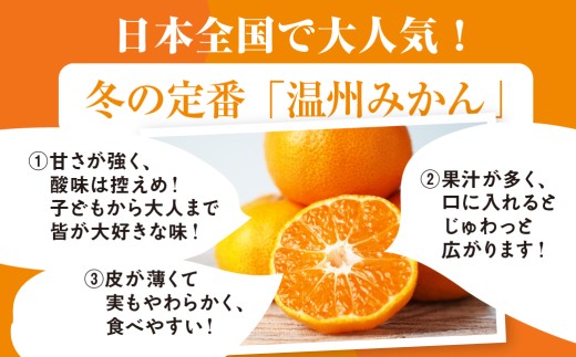 ≪先行予約≫ 温州小玉みかん ご家庭用 4kg わけあり  4キロ みかん ミカン 蜜柑 mikan 柑橘 旬 フルーツ 果物 愛知県 豊橋市  15000円  国産 豊橋産 愛知県 豊橋市 みかん 
