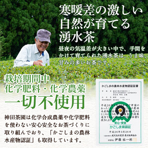 鹿児島県湧水町産！栽培期間中農薬・化学肥料不使用！湧水煎茶ティーバッグ 計40個(20個×2袋) 国産 九州産 鹿児島県産 茶葉 お茶 茶 日本茶 緑茶 煎茶 ティーバッグ ギフト 贈答 プレゼント 