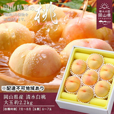 【ふるさと納税】桃 2026年 先行予約 清水白桃 約2.2kg 大玉 6～7玉 もも モモ 岡山県産 国産 フルーツ 果物 ギフト 　お届け：2026年7月中旬～2026年8月上旬