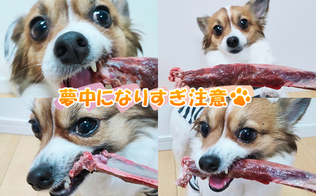 ペットフード 鹿肉 生あばら骨 500g ドックフード