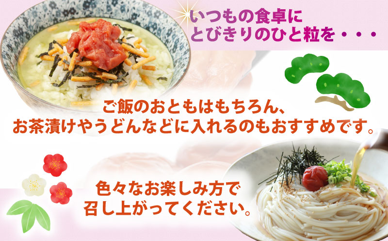 しそ漬け 梅干 完熟 南高 1.3kg 夢萬開 梅干し うめぼし うめ干し 梅 農家直送 産地直送 手作り 紫蘇 漬け 国産 愛媛 宇和島 F010-105001