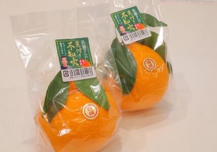 ＜先行受付　2025年発送＞不知火　約2.7kg