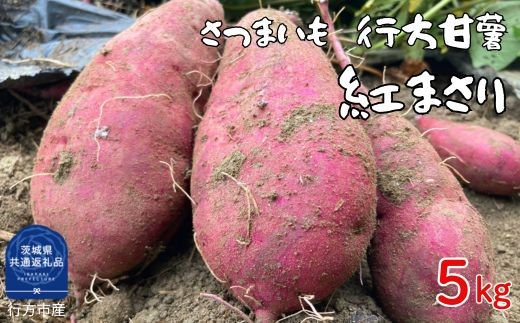 iL-3b さつまいも　行方甘藷　紅まさり　5kg（茨城県共通返礼品・行方市産） ／ さつまいも さつま芋 サツマイモ 薩摩芋 甘薯 行方甘藷 紅まさり 5kg 野菜 茨城県 送料無料