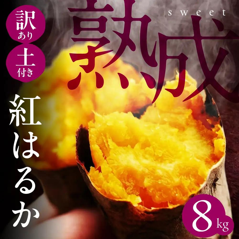 先行予約 訳あり さつまいも 8kg　さつまいも