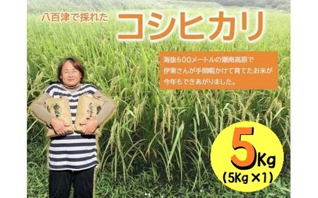 【令和7年度新米】八百津で採れたコシヒカリ！　5kg