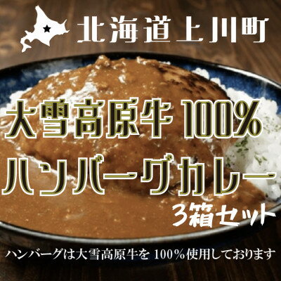 【ふるさと納税】大雪高原牛100%ハンバーグカレー250g×3箱 有名店ガクヤバーガー監修の男前仕立て 常温保存可【1701036】