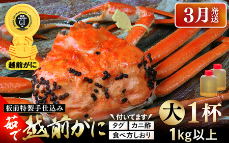 ≪茹で≫越前がに大（タグ付き）1杯（生で1㎏以上）カニ酢90cc付 板前特製手仕込み 食べ方しおり付き【雄 ズワイガニ かに カニ 蟹 越前ガニ 姿 ボイル 冷蔵 福井県】【3月発送分】希望日指定可 備考欄に電話番号をご記入ください [e29-x002_03]