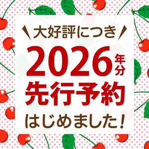 【令和8年産】さくらんぼ 佐藤錦 500g L玉以上 ギフト箱入 秀品 山形県産【山形eLab】フルーツ 人気 贈答 ふるさと納税 河北町 2026年産 ka074-032