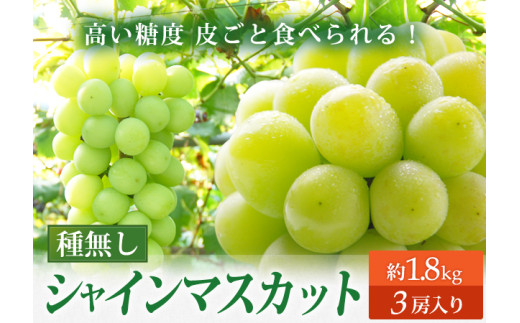 【令和7年先行受付】シャインマスカット 約1.8kg（3房） ぶどう 果物 フルーツ FSY-2107