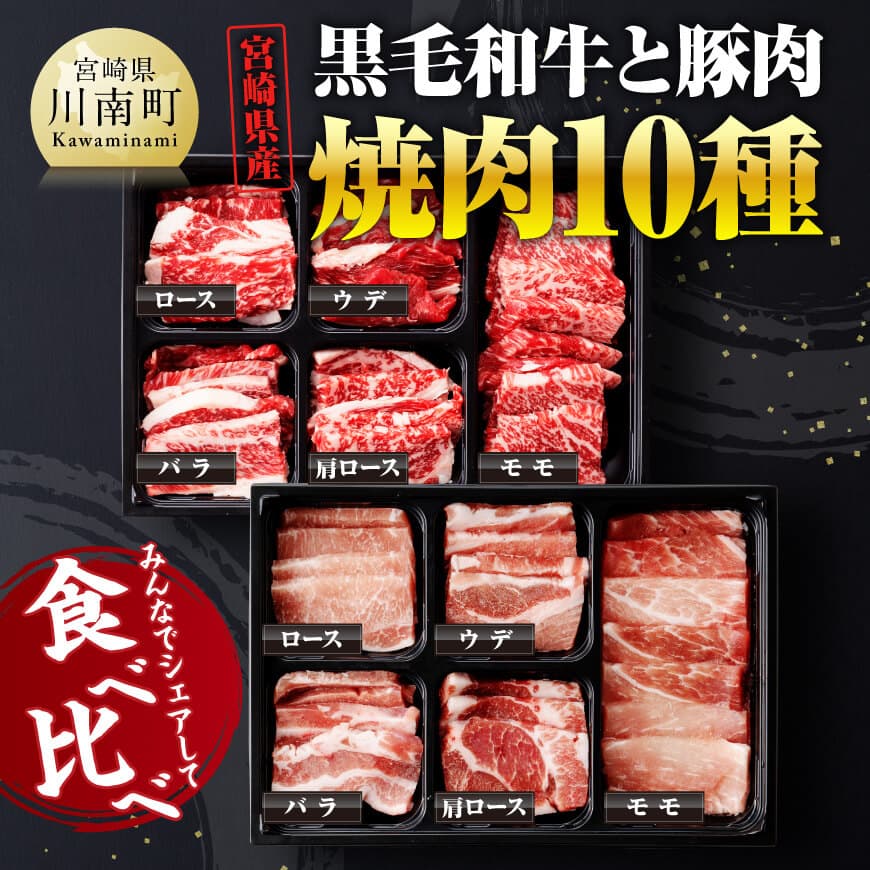 宮崎県産 黒毛和牛 と 豚肉 焼肉 10種　牛肉 豚肉 焼肉[D00602]