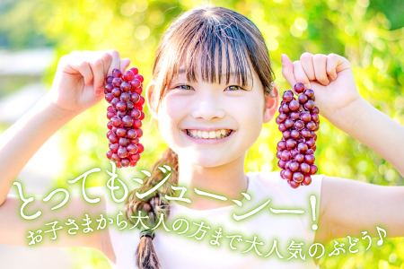 C-560 早出し 椋さんのこだわりデラウェア 2kg