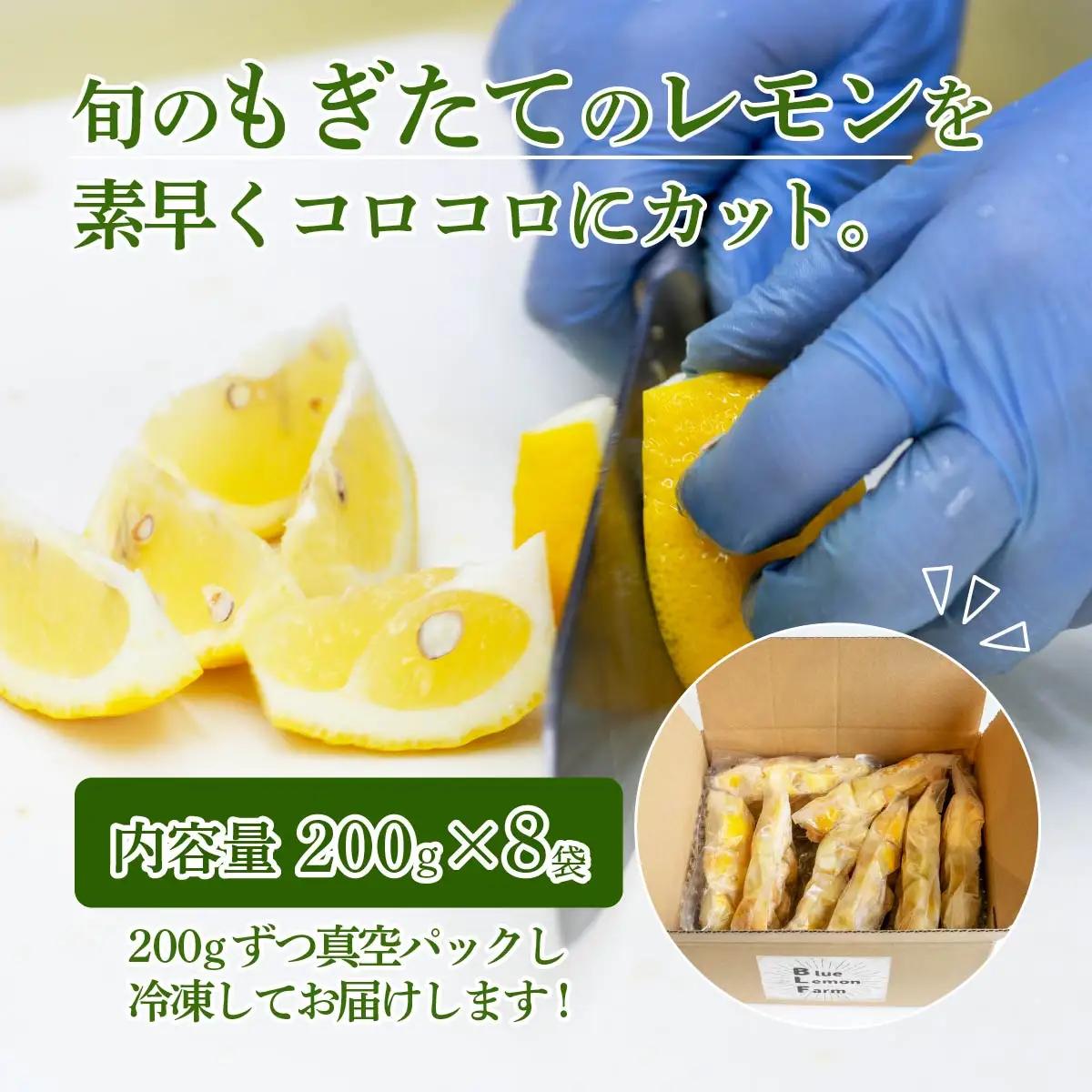 レモン カットレモン 冷凍 200g×8パック 数量限定