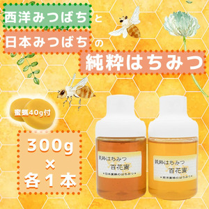 GD007_【2025年7月以降発送】日本蜜蜂の純粋はちみつ＊西洋蜜蜂のはちみつ　食べ比べセット　３００ｇ×各１