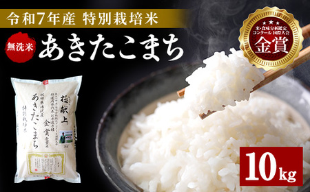 【令和7年産米】新米 あきたこまち 10kg ( 5kg ×2 ) 無洗米 白米 農家直送 受賞歴多数 特別栽培米 自然由来の漢方栽培 【渡部 浩見】[C6-2101]