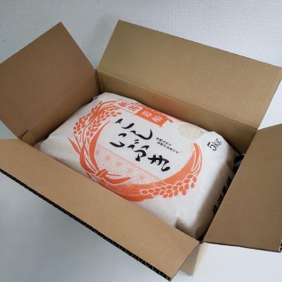 ふるさと納税 村上市 【新米受付・令和7年産米】こしいぶき 白米10kg(5kg×2袋)新潟県村上市岩船産1067103N |  | 01