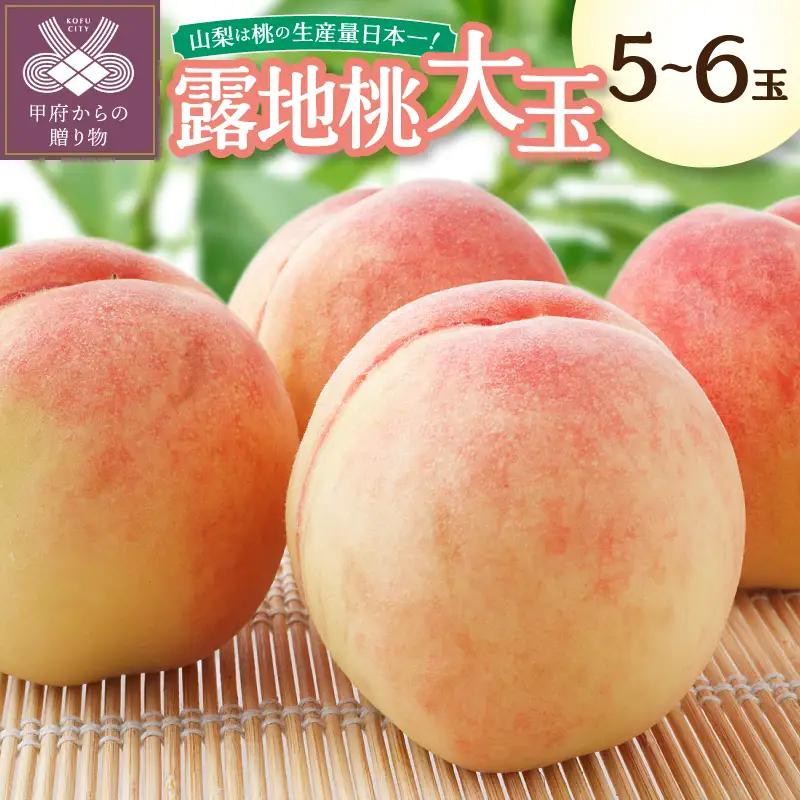 〈2027年度配送分〉露地桃大玉 5-6玉（約1.8kg）