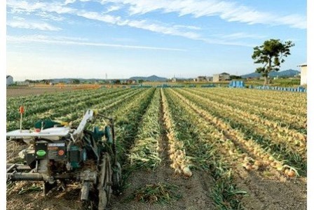 兵庫県認証食品★特別栽培★淡路島たまねぎ【３kg】