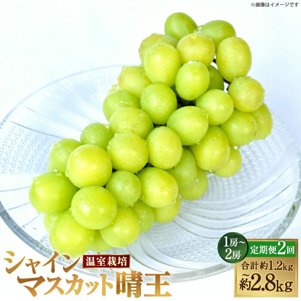 【ふるさと納税】[HS]【2回定期便】温室 シャインマスカット 晴王 ＜選べる内容量＞ 1回あたり1房 / 2房 約600g / 約700g / 計約1.2kg / 計約1.4kg ぶどう ブドウ 葡萄 フルーツ くだもの 果物 冷蔵 国産 岡山県産 倉敷市 送料無料 【2026年7月上旬～8月下旬発送予定】