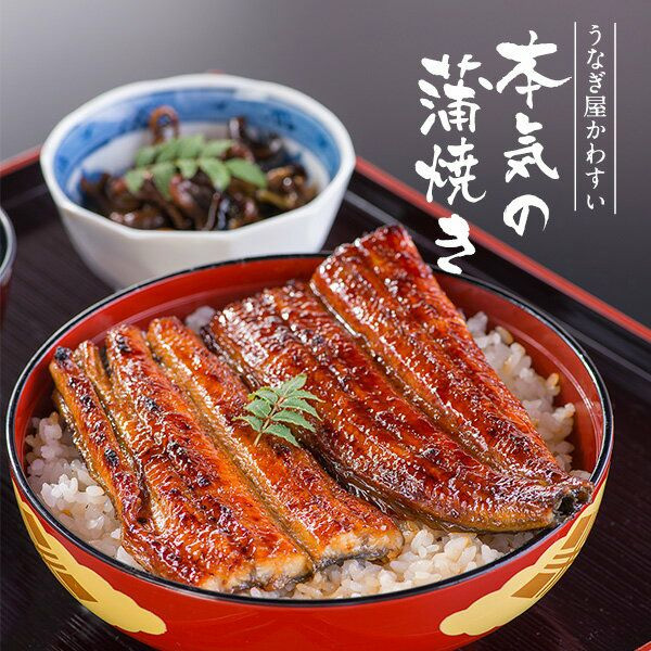 〈うなぎ屋かわすい〉愛媛県松山市養殖うなぎを使用！うなぎ蒲焼 4本 (1尾：150〜169g) ｜うなぎ ウナギ 鰻 蒲焼き 国産 お取り寄せ グルメ ふるさと納税 簡単調理 土用丑の日 ギフト 贈り