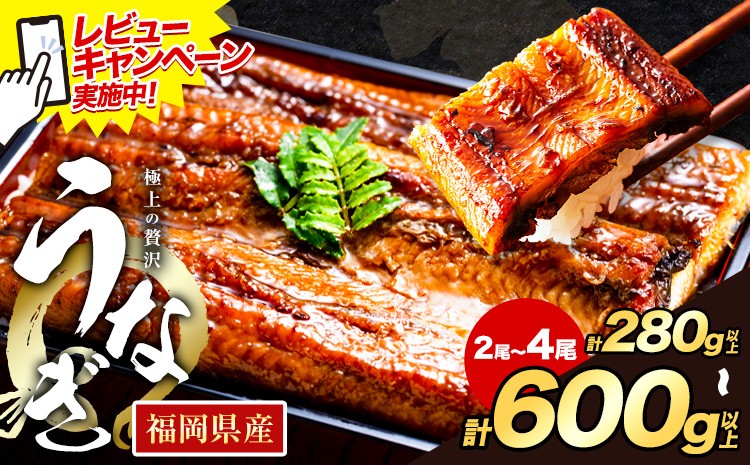 
             ☆レビューキャンペーン実施中☆特別規格 うなぎ 鰻 福岡県産 鰻の蒲焼き 数量限定 2尾 3尾 4尾 ご家庭用 特上 HOMIE《選べる出荷時期》福岡県 鞍手郡 鞍手町 鰻 蒲焼き 数量限定 国産 蒲焼 うなぎ蒲焼
          