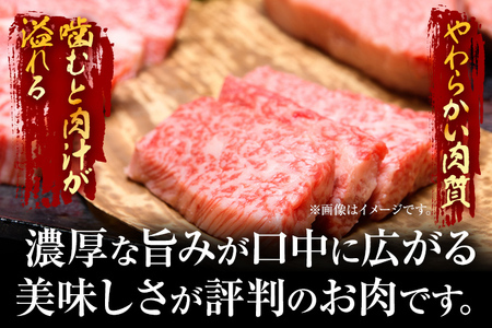 【ふるなび限定】【先行予約】訳あり！【A4～A5】博多和牛焼肉切り落とし(肩ロース・バラ） 500ｇ CP021er FN-Limited 