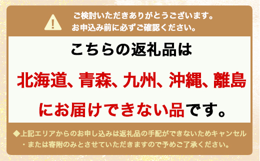 【6ヶ月定期便】【生】魚卸問屋の「鱒寿司」（超厚切り）1段×1個 はりたや