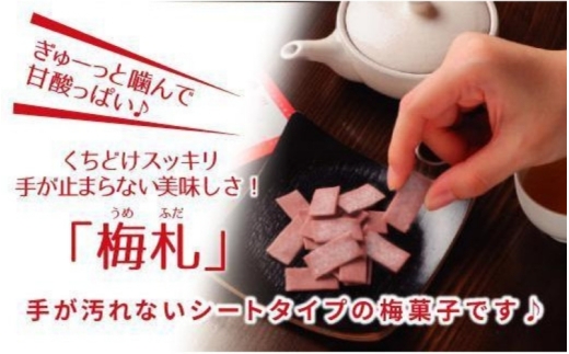 紀州梅札 14g×30袋　梅づくり100年「紀州ほそ川」の梅お菓子　【hoso005A】