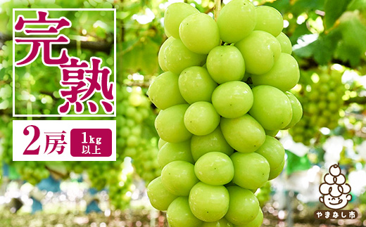 【2026年先行受付】完熟 シャインマスカット 2房 (1kg以上) 世界農業遺産認定地特産【配送不可地域：離島】