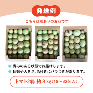 トマト 贈答にもおすすめ そのままでも 美味しい 【石墨清流トマト】糖度9～11度 久万高原町　※離島への配送不可